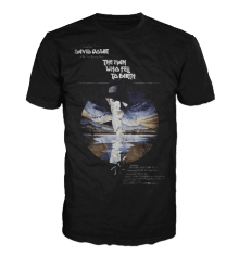 THE MAN WHO FELL TO EARTH