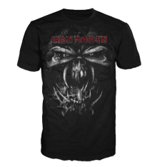 FINAL FRONTIER VINTAGE